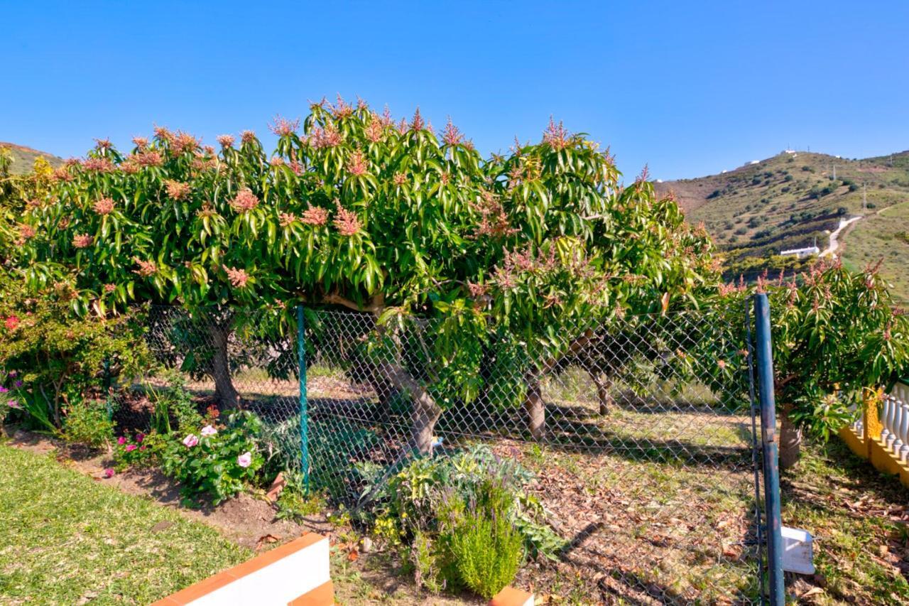 Villa Grillo Torrox Kültér fotó